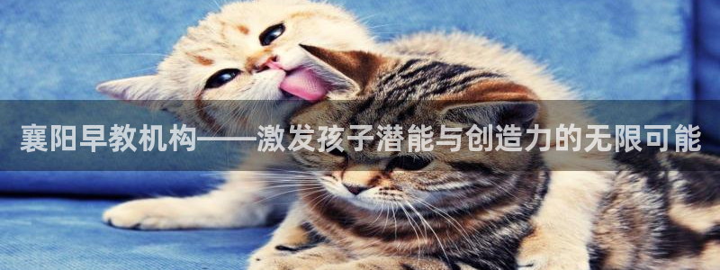 恒行注册招收6ll5l指定：襄阳早教机构——激发孩子潜能与创造力的无限可能