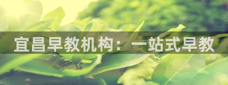 恒行娱乐芍皇74ooo5蛹：宜昌早教机构：一站式早教