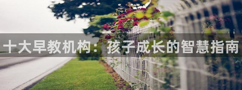 恒行开户娱乐赞议6ll5l：十大早教机构：孩子成长的智慧指南