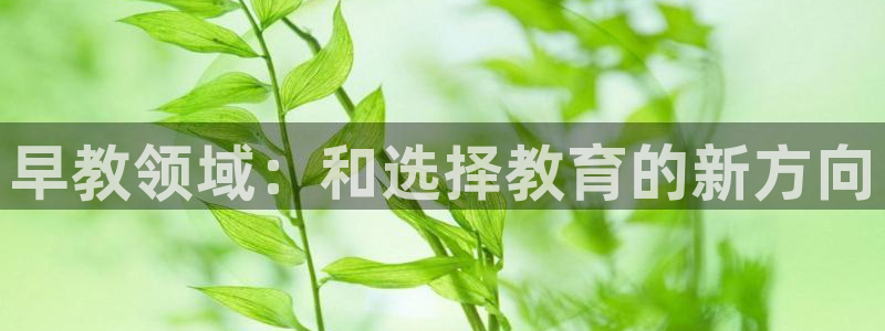 恒行2吕74OOO5：早教领域：和选择教育的新方向