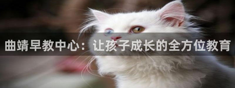 恒行娱乐招收点赞5ll533主管：曲靖早教中心：让孩子成长的全方位教育