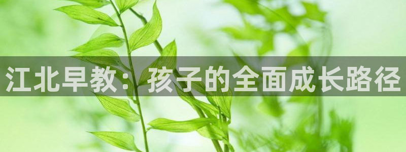 恒行娱乐吴74OOO5：江北早教：孩子的全面成长路径