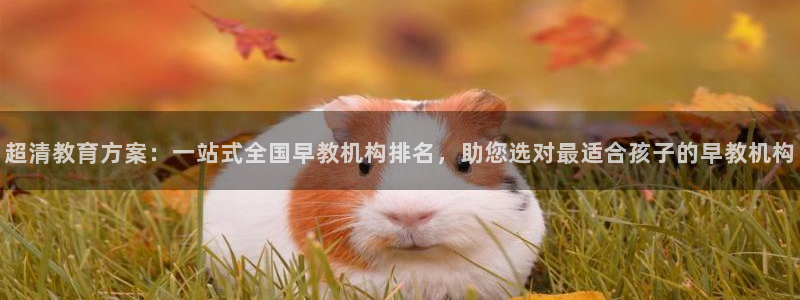 恒行5：超清教育方案：一站式全国早教机构排名，助您选对最适合孩子的早教机构