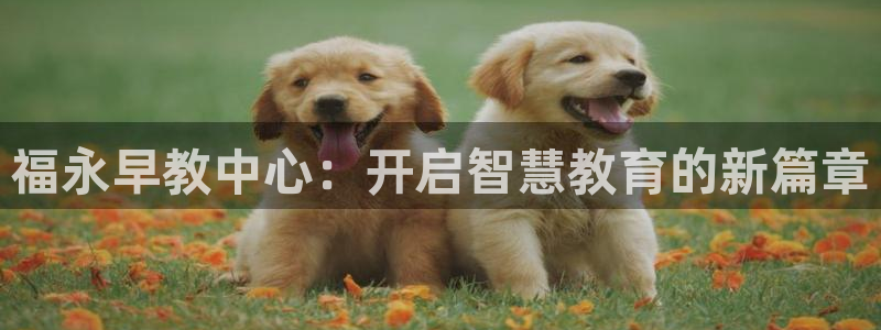 恒行娱乐招收点赞5ll533主管：福永早教中心：开启智慧教育的新篇章