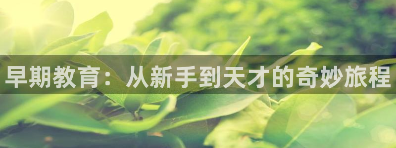 恒行2那74OOO5：早期教育：从新手到天才的奇妙旅程