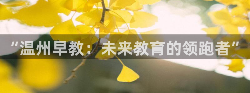 恒行娱乐吴74OOO5：“温州早教：未来教育的领跑者”