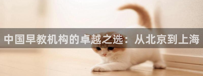 恒行娱乐周74OOO5：中国早教机构的卓越之选：从北京到上海