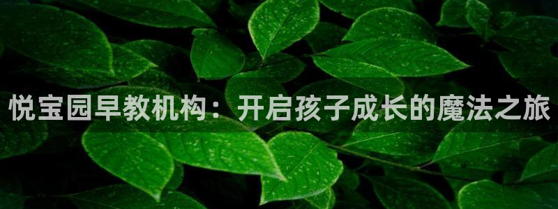 恒行娱乐陈74OOO5：悦宝园早教机构：开启孩子成长的魔法之旅