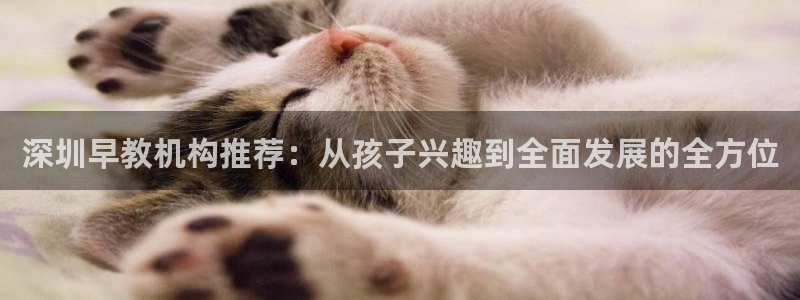 恒行3乃5O6917：深圳早教机构推荐：从孩子兴趣到全面发展的全方位