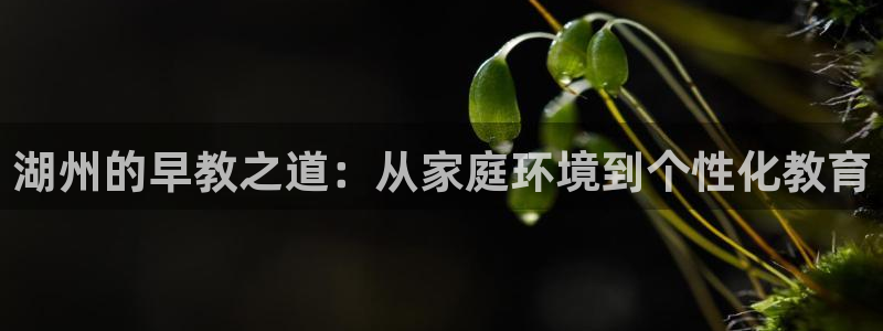 恒行娱乐蜗74ooo5指磁：湖州的早教之道：从家庭环境到个性化教育