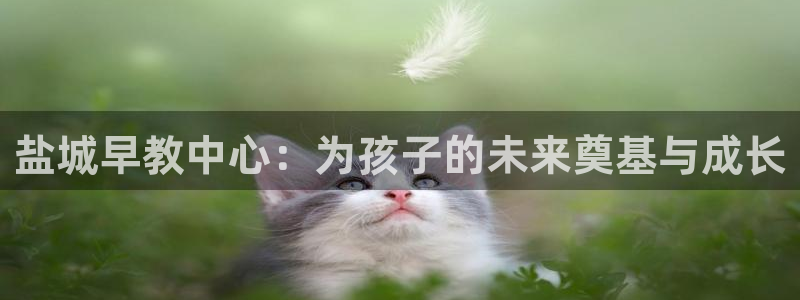 恒行2陈74OOO5：盐城早教中心：为孩子的未来奠基与成长
