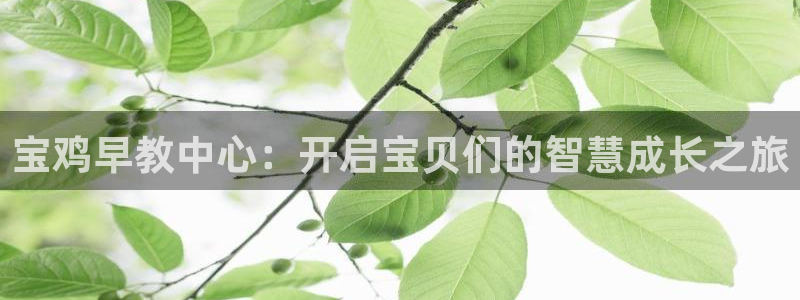 恒行开户全2O5o5O：宝鸡早教中心：开启宝贝们的智慧成长之旅