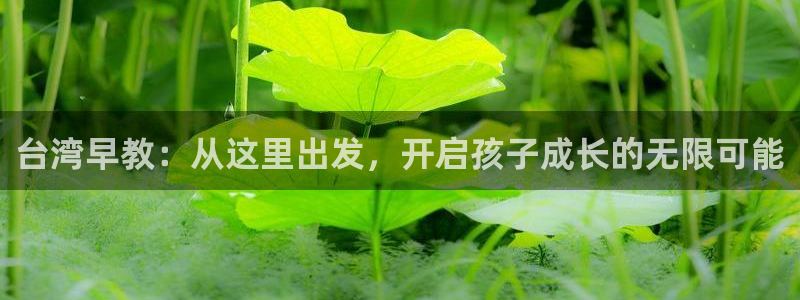 恒指5行情 如来再我心：台湾早教：从这里出发，开启孩子成长的无限可能