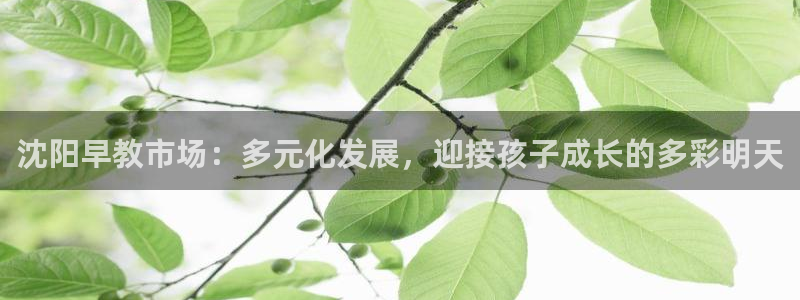 恒行主管首问6ll5l：沈阳早教市场：多元化发展，迎接孩子成长的多彩明天