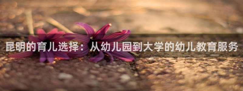 恒行2郑74OOO5：昆明的育儿选择：从幼儿园到大学的幼儿教育服务