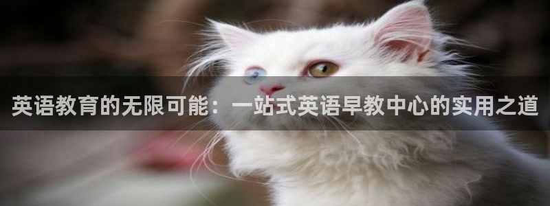 恒行娱乐寻问74 5：英语教育的无限可能：一站式英语早教中心的实用之道