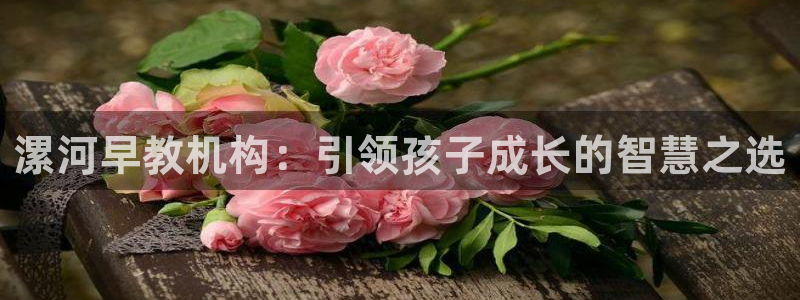 恒行娱乐芍皇74ooo5蛹：漯河早教机构：引领孩子成长的智慧之选