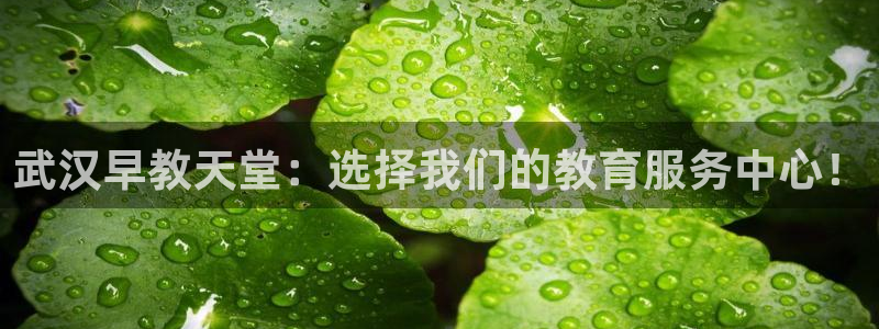 恒行2郑74OOO5：武汉早教天堂：选择我们的教育服务中心！