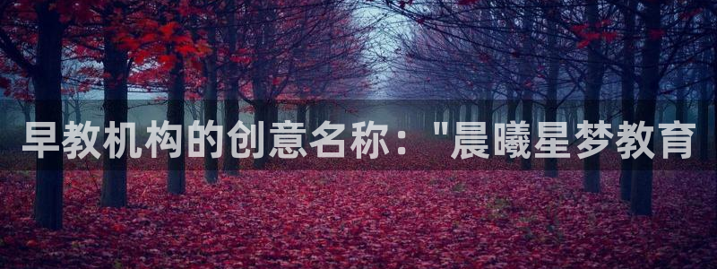 恒行2蒋74OOO5：早教机构的创意名称：\