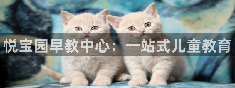 恒行娱乐周74OOO5:悦宝园早教中心:一站式儿童教育