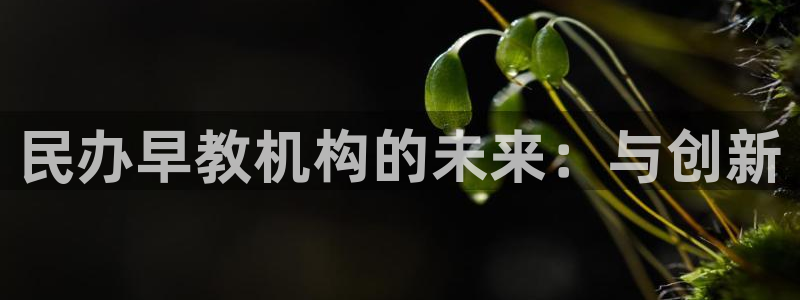 恒行2周74OOO5：民办早教机构的未来：与创新