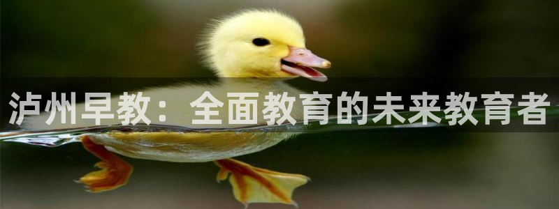 恒行2王74OOO5：泸州早教：全面教育的未来教育者