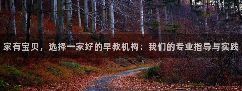 恒行主管首问6ll5l：家有宝贝，选择一家好的早教机构：我们的专业指导与实践