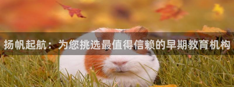 恒行娱乐冯74OOO5：扬帆起航：为您挑选最值得信赖的早期教育机构