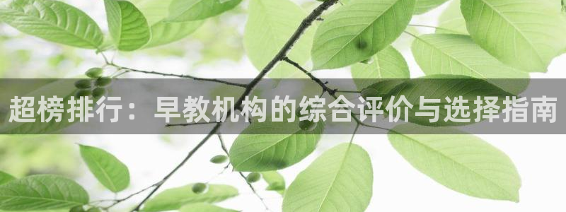 恒行娱乐鸟74ooo5判官：超榜排行：早教机构的综合评价与选择指南