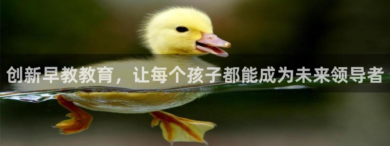 恒行2郑74OOO5：创新早教教育，让每个孩子都能成为未来领导者