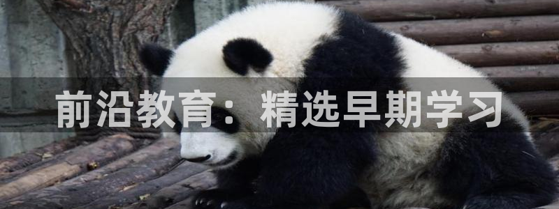 恒行2下74OOO5:前沿教育:精选早期学习