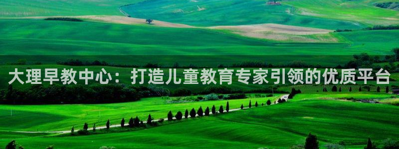 恒行5:大理早教中心:打造儿童教育专家引领的优质平台