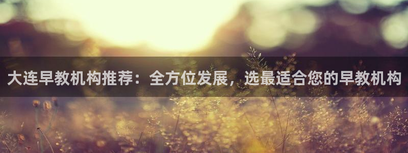 恒行5娱乐：大连早教机构推荐：全方位发展，选最适合您的早教机构