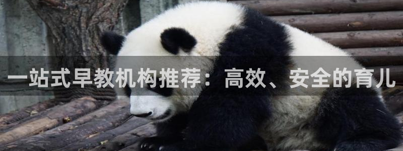 恒行娱乐景74ooo5诿抢:一站式早教机构推荐:高效、安全的育儿