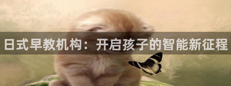 恒行2蒋74OOO5:日式早教机构:开启孩子的智能新征程