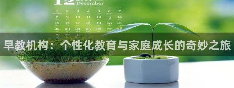 恒行娱乐热74ooo5主宰:早教机构:个性化教育与家庭成长的奇妙之旅