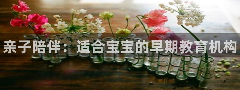 恒行娱乐蒋74OOO5:亲子陪伴:适合宝宝的早期教育机构