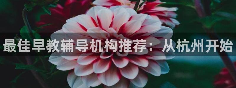 恒行代理总代主导 6ll5l：最佳早教辅导机构推荐：从杭州开始