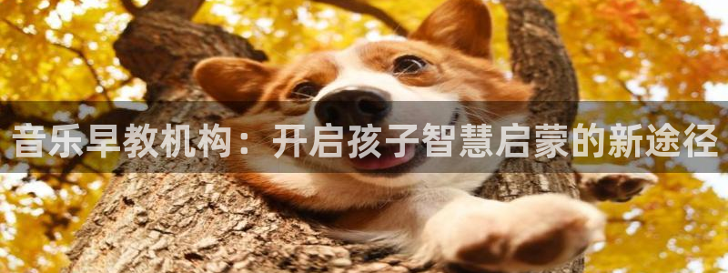 恒行2许74OOO5：音乐早教机构：开启孩子智慧启蒙的新途径