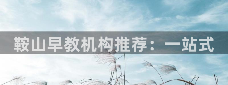 恒行3乃5O6917：鞍山早教机构推荐：一站式