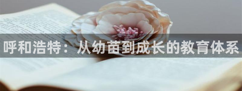 恒行开户娱乐6ll5l特惠：呼和浩特：从幼苗到成长的教育体系