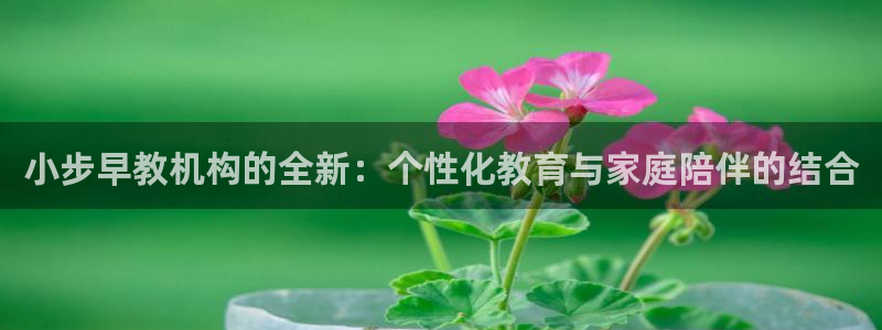 恒行2许74OOO5：小步早教机构的全新：个性化教育与家庭陪伴的结合