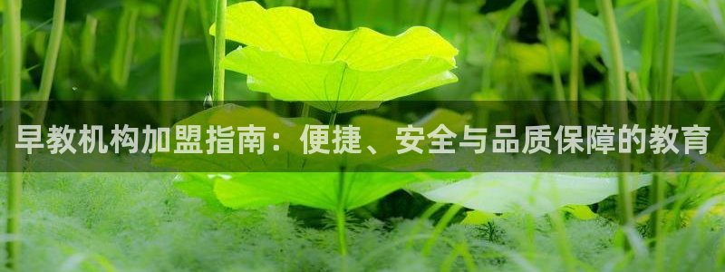 恒行娱乐登录信用 74ooo5：早教机构加盟指南：便捷、安全与品质保障的教育