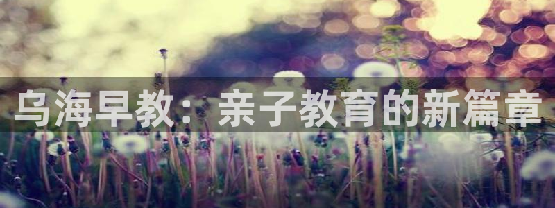 恒行开户全2O5o5O：乌海早教：亲子教育的新篇章
