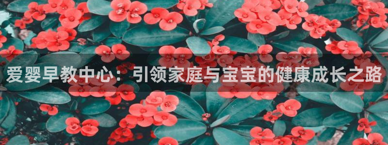 恒行登录就搜6ll5l：爱婴早教中心：引领家庭与宝宝的健康成长之路