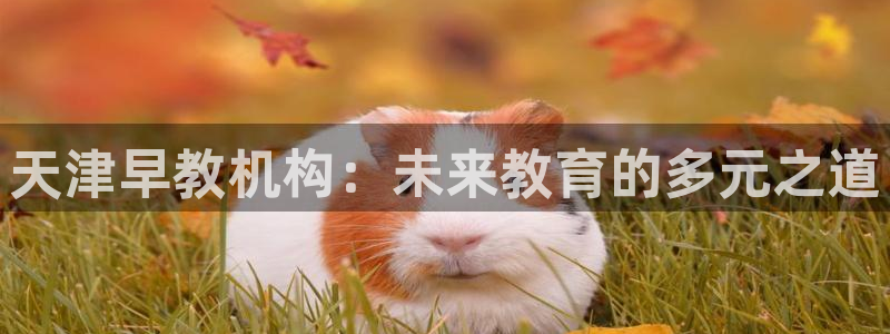 恒行娱乐卫74OOO5：天津早教机构：未来教育的多元之道