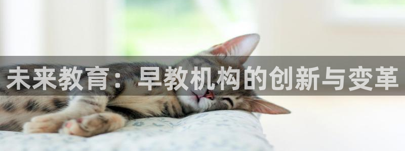 恒行娱乐登录信用 74ooo5：未来教育：早教机构的创新与变革