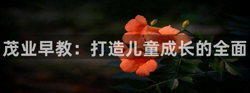 恒行2乃5O6917：茂业早教：打造儿童成长的全面