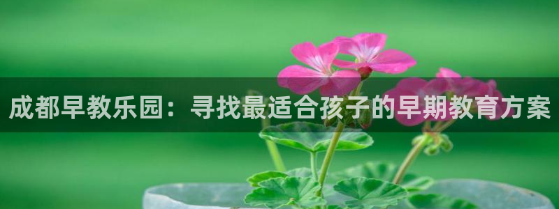 恒行彩票亏5千:成都早教乐园:寻找最适合孩子的早期教育方案