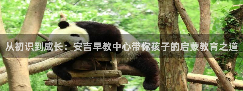 恒行娱乐婆蹬74ooo5盗:从初识到成长:安吉早教中心带你孩子的启蒙教育之道